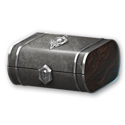 Merit Medal Chest: Silver