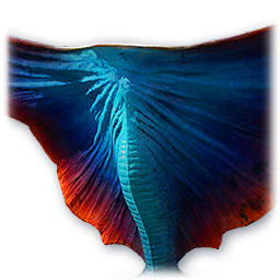 Pet: Deliton