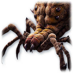 Pet: Deadwood Spider