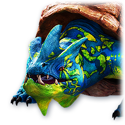 Pet: Star Turtle