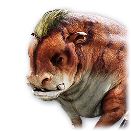 Pet: Young Torg