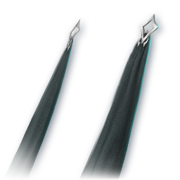 Star Prophet (Skin: Cloak) (Engraved)