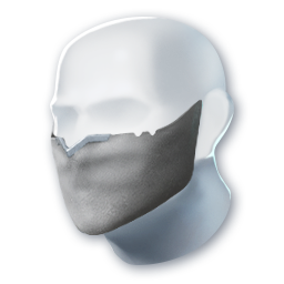 Road Traveler (Skin: Helm) (Engraved)