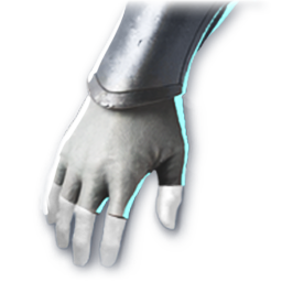 Beginning of Training (Skin: Gloves) (Engraved)
