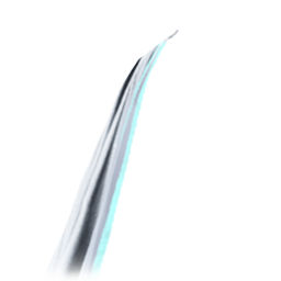 Beginning of Training (Skin: Cloak) (Engraved)
