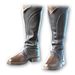 Inheritor of Knowledge (Skin: Boots) (Engraved)