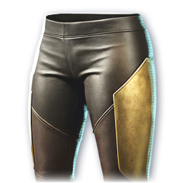 Golden Aegis (Skin: Legguards) (Engraved)
