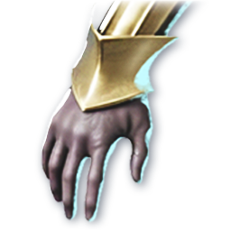 Golden Aegis (Skin: Gloves) (Engraved)