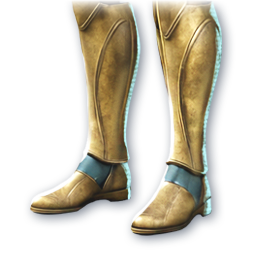Golden Aegis (Skin: Boots) (Engraved)