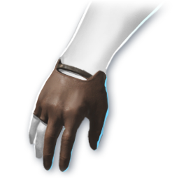 Record of the Past (Skin: Gloves) (Engraved)