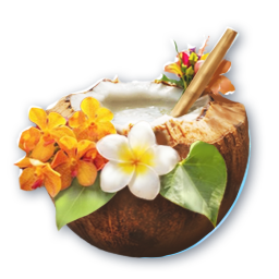 Sweet Refreshing Coconut Juice (Engraved)
