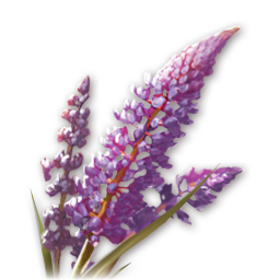 Tregonia