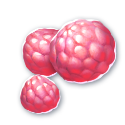Leisen Raspberry